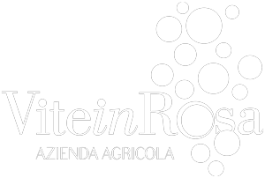Vite in Rosa | Azienda agricola Logo